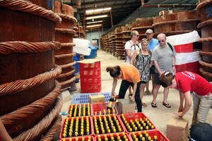 Foreigners visit a fish source production facility in An Thoi Town, Phu Quoc Island. (Photo: VNA/VNS)
