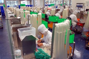 Germany’s B.Braun Vietnam factory in Thanh Oai Industrial Zone, Hanoi. (Photo: VNA/VNS)