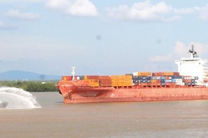 A seagoing vessel travels to HCMC by waterway (Photo: SGGP)