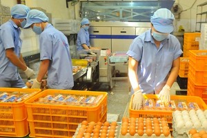 Businesses from 30 countries attend Egg Summit 2017 in Hanoi