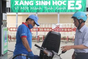 Nationwide sale of bio gasoline E5 to start sooner than schedule