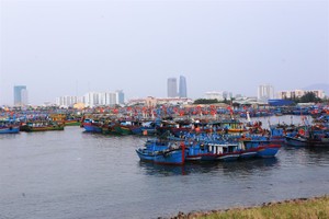 Fishing boats dock at a port in central Vietnam. All fishing boats must run cruise tracking device for 24-hours a day when at sea to prevent illegal fishing. (Photo: VNS)
