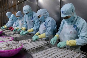 Illustrative image (Source: VNA)