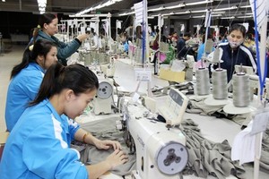 The finance ministry has announced 10 draft decrees that will guide implementation of as many free trade agreements (FTAs), drawing a roadmap to zero per cent import tariffs for many goods. (Photo: baotintuc.vn)