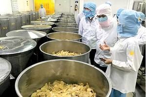 Food safety inspection at Tri Duc jam making company in HCMC (Photo: SGGP)