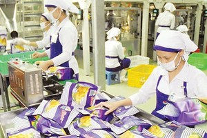 Workers processing dried jacfruit at Vinamit Company to export to Cambodia (Photo: SGGP)