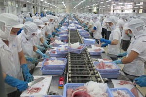 By product: Anh’s research opens the door for creating by-products from the aquaculture industry. Vietnam is one of the leading fish exporters in the world. (Photo: VNA/VNS)