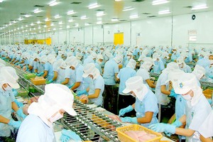 A pangasius fish processing plant in the Mekong Delta (Photo: SGGP)