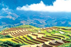 Vietnam will build Van Don, Phan Thiet and Sa Pa airports by 2020. The photo shows terraced fields in Sa Pa district, Lao Cai province, the northwestern region of Vietnam