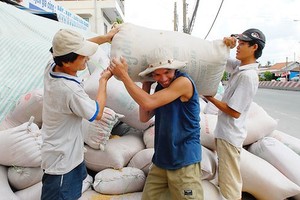 Workers transport rice bags to a milling plant in the Mekong Delta (Photo: SGGP)