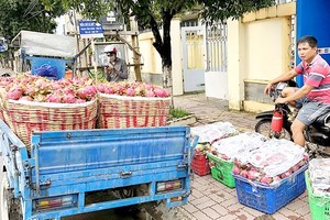 Prime Minister Nguyen Xuan Phuc (front, second, right) greets participants in the Vietnam-EU-Belgium Business Forum on October 17 (Photo: VNA)