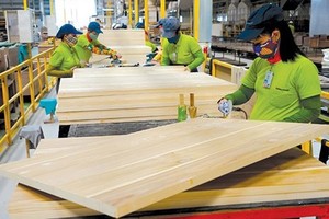Forestry products bring Vietnam a trade surplus of US$5.72 billion in the first ten months of 2018 (Photo: SGGP)