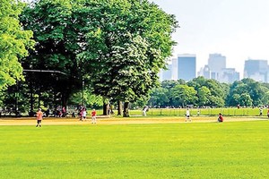 Green cover area reduces 50 percent in HCMC