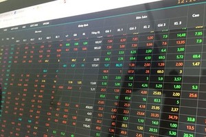 VN-Index drops after two green days