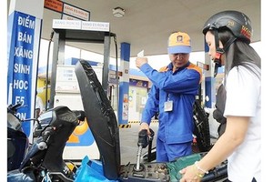 Transport group falls 3.04 percent in January 2019, thanks to gasoline price cut and discharge of fuel price stabilization fund. (Photo: SGGP)