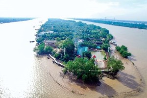 An top side view of Phung Islet (Photo: SGGP)