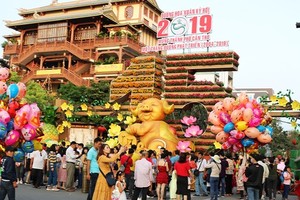 Can Tho flower street crowded of holidaymakers (Photo: SGGP)