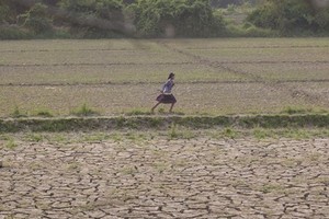 A girl runs through deserted farmland in Myanmar's Sagaing region where floods buried valuable fertile soil under several feet of mud which later dried hard and cracked, making land preparations very difficult and expensive (Photo: news.un.org)