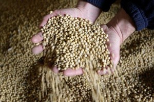 Illustrative image (Source: Reuters/VNA)