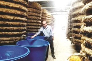 Phan Thiet produces over 20 million liters of fish sauce a year, mostly sold to companies to make fish sauce products (Photo: SGGP)