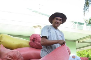 The prices of paddy go up in Mekong Delta provinces. (Photo: SGGP)