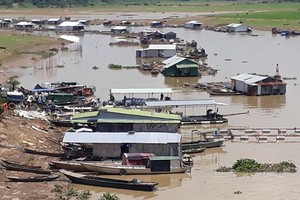 Highly dense fish populations in breeding farms is also a cause of water pollution on the La Nga river (Photo: SGGP)