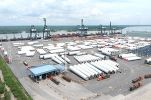Tan Cang - Cai Mep Thi Vai port (Photo: SGGP)