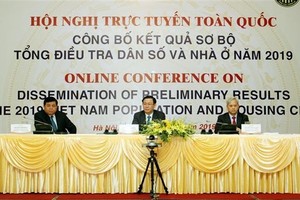 At the online conference (Photo: VNA)