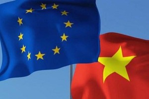 Illustrative photo (Source: internet)