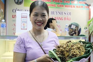 One place to gain access to authentic Ngoc Linh ginseng is at the monthly ginseng fair in Nam Tra My district