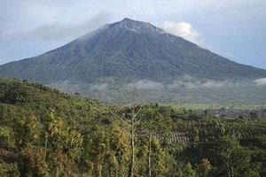 Indonesian authorities issued a flight warning as Mount Kerinci volcano on Sumatra Island erupted, spewing a column of ash up to 0.8 km into the air. (Source: cnnindonesia.com)