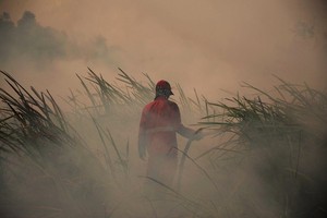 A fireman tries to put out peat land fire in Ogan Ilir regency of South Sumatra province, Indonesia, on August 5 (Photo: Xinhua/VNA)