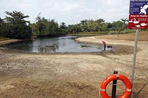 Low water levels are recorded in ponds, rivers in Singapore (Source: straitstimes)