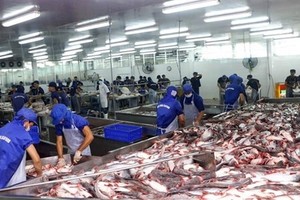 Tra fish is processed for export at Bien Dong Seafood Co Ltd in Tra Noc II Industrial Zone in the southern city of Can Tho.(Photo: VNA)