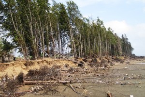 Landslide has been complicated in the Mekong Delta (Photo: SGGP)