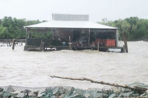 (Illustrative photo: SGGP)