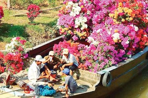 Flower and ornamental plants transported to the market for sale (Photo: SGGP)