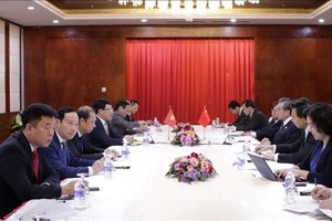 At the meeting between Vietnamese Deputy Prime Minister and Foreign Minister Pham Binh Minh and Chinese State Councilor and Foreign Minister Wang Yi (Photo: VNA)