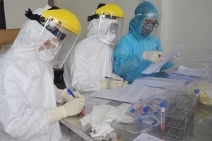 Illustrative image (Photo: VNA) 