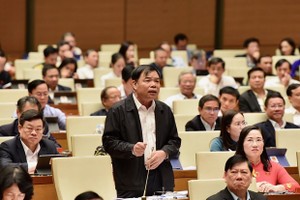 Speaking at the NA working session, Minister of Agriculture and Rural Development Nguyen Xuan Cuong said Vietnam now has 14.6 million ha of forest, of which natural forests total 10.3 ha. (Photo: VGP)