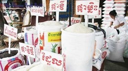 Cambodia exports more than 600,000 tonnes of milled rice in 11 months