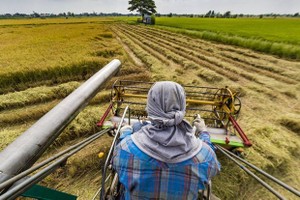 Thai gov’t regulates further farmland for farmers in need