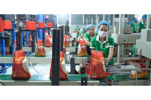 Vietnam seeing promising future in rice export