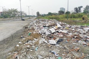 HCMC Chairman directs to throw book on environment violators