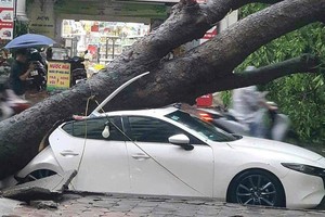 Northern Vietnam braces for Typhoon Yagi