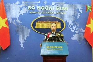 Vietnam opposes all activities violating sovereignty over Hoang Sa 