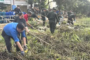 HCMC prepares for fiercer fight against littering for greener growth