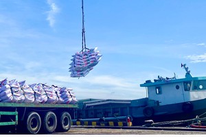 Localities joining forces to achieve significant breakthrough in Mekong Delta