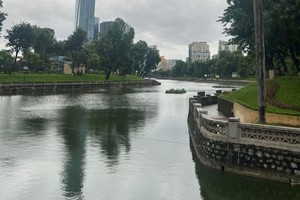 Wipha slams Northern coast, no major damage reported yet