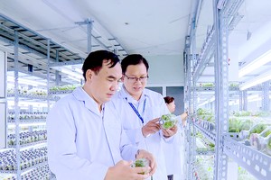 Ho Chi Minh City builds global ambitions in biotechnology